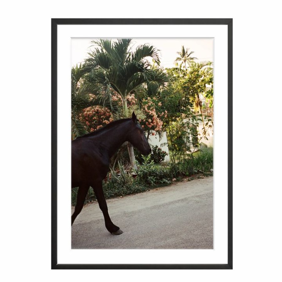 The Happiness Collective The Happiness Collective - 'A Horse With No Name' On Film - Framed Print Artwork & Prints